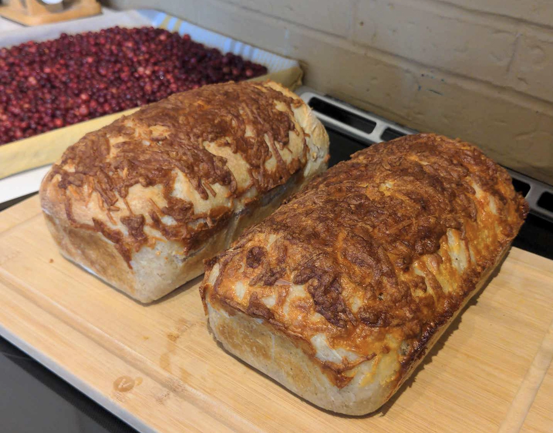 Pain (base de levain) épices & fromage et cueillette d’atocas – Automne 2024